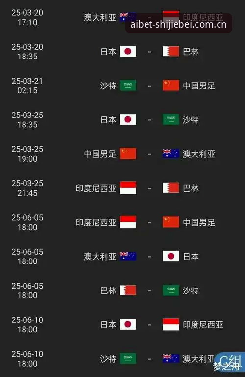 2026世界杯投注平台全面评测：从资金安全到操作体验的深度解析